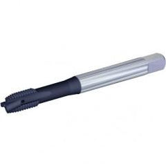 VTSPO9709 3/8-16 2B 3F PLUG CH - Exact Industrial Supply