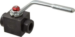 Parker - 3/4" Pipe, Carbon Steel Standard Ball Valve - Inline - Two Way Flow, FNPT x FNPT Ends, Lever Handle, 6,000 WOG - Exact Industrial Supply