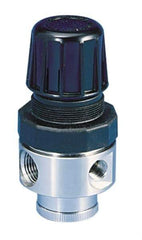 Parker - 1/2 NPT Port, 80 CFM, Stainless Steel Standard Regulator - 0 to 125 psi Range, 300 Max psi Supply Pressure, 1/4" Gauge Port Thread, 2.43" Wide x 4.97" High - Exact Industrial Supply