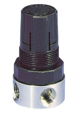 Parker - 1/4 NPT Port, 12 CFM, Stainless Steel Miniature Regulator - 0 to 60 psi Range, 300 Max psi Supply Pressure, 1/4" Gauge Port Thread, 1.56" Wide x 3.06" High - Exact Industrial Supply