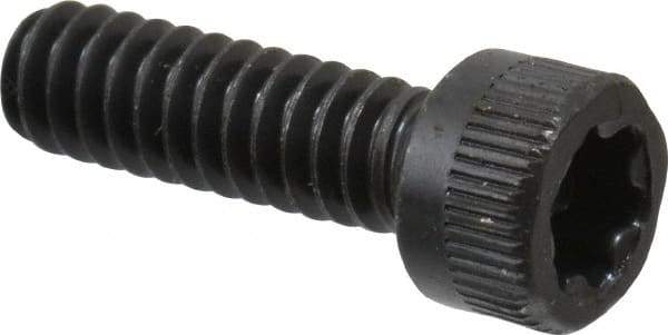Camcar - #10-24 UNC Torx Plus Drive, Socket Cap Screw - Alloy Steel, Black Oxide Finish, Fully Threaded, 5/8" Length Under Head - Exact Industrial Supply