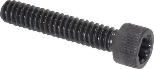 Camcar - #10-24 UNC Torx Plus Drive, Socket Cap Screw - Alloy Steel, Black Oxide Finish, Fully Threaded, 1" Length Under Head - Exact Industrial Supply