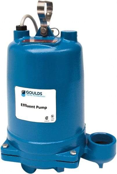 Goulds Pumps - 1 hp, 460 Amp Rating, 460 Volts, Single Speed Continuous Duty Operation, Effluent Pump - 3 Phase, Cast Iron Housing - Exact Industrial Supply