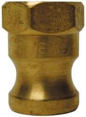 EVER-TITE Coupling Products - 3" Brass Cam & Groove Suction & Discharge Hose Male Adapter Female NPT Thread - Part A, 3" Thread, 250 Max psi - Exact Industrial Supply
