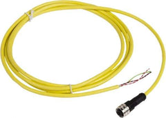 Telemecanique Sensors - 4 Amp, 1/2-20 UNF 3 Pin Female Straight Cordset Sensor and Receptacle - 250 VAC, 300 VDC, 2m Cable Length, IP67 Ingress Rating - Exact Industrial Supply