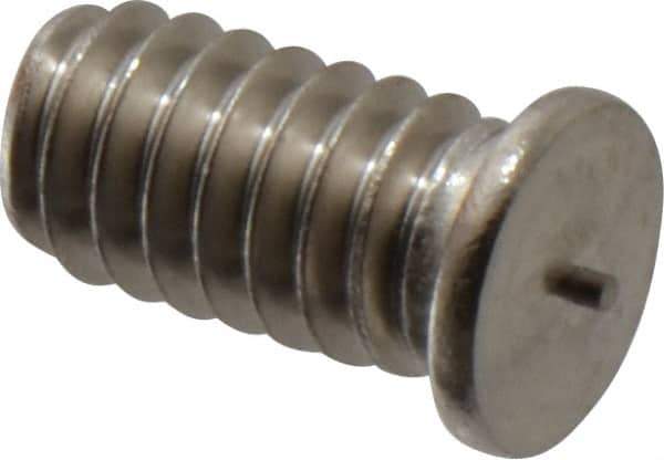 Bettermann - 1/4-20, Stainless Steel Threaded Flanged Studs - 1/2 Inch Overall Length - Exact Industrial Supply
