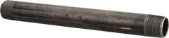 B&K Mueller - Schedule 40, 3/4" Diam x 9" Long Steel Black Pipe Nipple - Threaded - Exact Industrial Supply