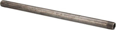 B&K Mueller - Schedule 40, 3/8" Diam x 12" Long Steel Black Pipe Nipple - Threaded - Exact Industrial Supply