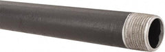 B&K Mueller - Schedule 40, 3/4" Diam x 24" Long Steel Black Pipe Nipple - Threaded - Exact Industrial Supply