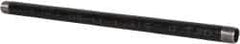B&K Mueller - Schedule 40, 1" Diam x 24" Long Steel Black Pipe Nipple - Threaded - Exact Industrial Supply