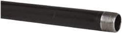 B&K Mueller - Schedule 40, 1" Diam x 48" Long Steel Black Pipe Nipple - Threaded - Exact Industrial Supply