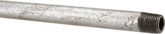 B&K Mueller - Schedule 40, 1/8 x 12" Galvanized Pipe Nipple - Threaded Steel - Exact Industrial Supply