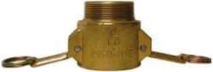EVER-TITE Coupling Products - 2-1/2" Brass Cam & Groove Suction & Discharge Hose Female Coupler Male NPT Thread - Part B, 2-1/2" Thread, 250 Max psi - Exact Industrial Supply