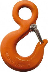 CM - Chain Grade 100, 2,700 Lbs. Load Limit Eye Rigging Hook with Latch - 0.93 Inch Hook Throat, 3.13 Inch Reach, 3/4 Inch Eye Inside Diameter, 0.21875 Inch Chain Diameter, 4.37 Inch Overall Length, 0.38 Inch Eye Thickness - Exact Industrial Supply