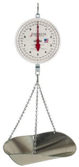 Detecto - 20 Lb. Capacity, 8 Inch Dial Hanging Scale with Galvanized Scoop - 10 Lbs. Graduation, 2 Revolutions - Exact Industrial Supply