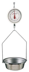 Detecto - 40 Lb. Capacity, 8 Inch Dial Hanging Scale with Stainless Steel Round Pan - 20 Lbs. Graduation, 2 Revolutions - Exact Industrial Supply
