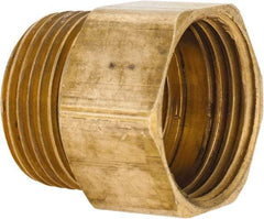 ANDERSON METALS - 3/4 FGHT & 3/4 MPT Garden Hose Female x MIP with FIP Tap - Lead Free Brass, Female Hose to Male Pipe Connector - Exact Industrial Supply