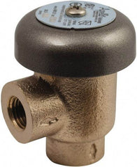 Conbraco - 3/4" Pipe, 125 Max psi, Bronze, Coated Lead Free Bronze, Atmospheric Type Vacuum Breaker Valve - Silicon Carbide Seal, Female NPT End Connections, Use with Potable Water Applications - Exact Industrial Supply
