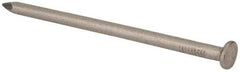 Made in USA - 20D, 6 Gauge, 4" OAL Common Nails - Smooth Shank, T304 Stainless Steel - Exact Industrial Supply