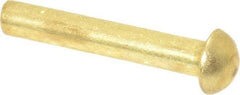 Made in USA - 1/8" Body Diam, Round Brass Solid Rivet - 3/4" Length Under Head - Exact Industrial Supply