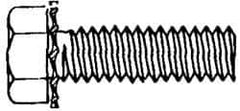 Value Collection - #10-24 UNC, 3/8" Length Under Head Hex Drive Machine Screw - Hex Head, Grade J82 Steel, Zinc-Plated Finish, External Tooth - Exact Industrial Supply