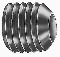 Value Collection - 1/4-20 UNC, 1" OAL, Flat Point Set Screw - Grade Austenitic A2 Stainless Steel, 1/8" Key - Exact Industrial Supply