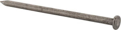 Value Collection - 20D, 6 Gauge, 4" OAL Common Nails - Ring Shank, Grade 2 Steel, Bright Finish - Exact Industrial Supply