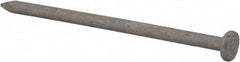 Value Collection - 10D, 9 Gauge, 3" OAL Common Nails - Ring Shank, Grade 2 Steel, Galvanized Finish - Exact Industrial Supply