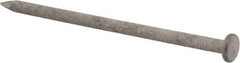Value Collection - 16D, 8 Gauge, 3-1/2" OAL Common Nails - Ring Shank, Grade 2 Steel, Galvanized Finish - Exact Industrial Supply