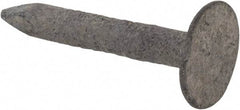 Value Collection - 11 Gauge, 7/8" OAL Roofing Nails - Ring Shank, Grade 2 Steel, Galvanized Finish - Exact Industrial Supply