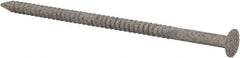 Value Collection - 10D, 10 Gauge, 3" OAL Decking Nails - Ring Shank, Grade 2 Steel, Galvanized Finish - Exact Industrial Supply