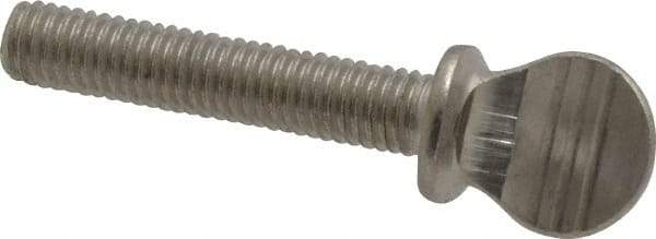 Value Collection - #10-32 Oval Shoulder Grade 18-8 Stainless Steel Thumb Screw - 1" OAL, 0.48" Head Height - Exact Industrial Supply