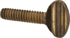 Value Collection - #10-24 Oval Shoulderless Brass Thumb Screw - 3/4" OAL, 0.48" Head Height - Exact Industrial Supply