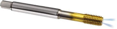 Guhring - M10x1.50 Metric 6HX D10/D11 Thread Limit Modified Bottoming Thread Forming Tap - Powdered Metal High Speed Steel, TiN Finish, 100mm OAL, Series 323 - Exact Industrial Supply