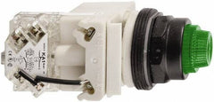 Schneider Electric - 24 V Green Lens LED Press-to-Test Indicating Light - Octagonal Lens, Screw Clamp Connector, Vibration Resistant - Exact Industrial Supply