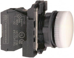 Schneider Electric - 24 VAC/VDC at 50/60 Hz White Lens LED Pilot Light - Round Lens, Screw Clamp Connector, 30mm Wide, Vibration Resistant, Water Resistant - Exact Industrial Supply