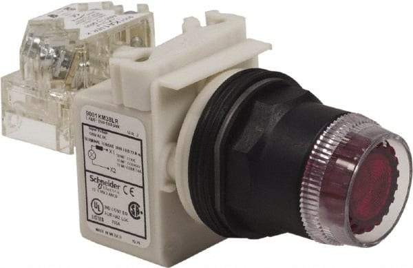 Schneider Electric - 30mm Mount Hole, Extended Straight, Pushbutton Switch with Contact Block - Red Pushbutton, Momentary (MO) - Exact Industrial Supply