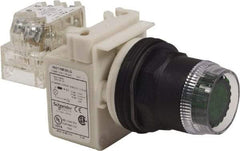 Schneider Electric - 30mm Mount Hole, Extended Straight, Pushbutton Switch with Contact Block - Green Pushbutton, Momentary (MO) - Exact Industrial Supply