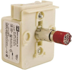 Schneider Electric - 24-28 VAC, 24-28 VDC Red Lens LED Light Module - Exact Industrial Supply