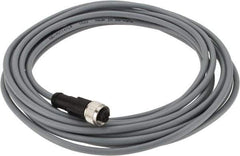 Telemecanique Sensors - 3 Amp, M12 4 Pin Female Straight Cordset Sensor and Receptacle - 250 VAC, 300 VDC, 5m Cable Length, IP67 Ingress Rating - Exact Industrial Supply