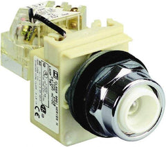 Schneider Electric - 120 VAC Incandescent Pilot Light - Round Lens, Screw Clamp Connector - Exact Industrial Supply