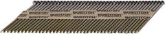 Stanley Bostitch - 12 Gauge 0.113" Shank Diam 2-3/8" Long Framing Nails for Power Nailers - Steel, Bright Finish, Ring Shank, Angled Stick Paper Tape Collation, Round Head - Exact Industrial Supply