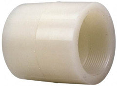 NIBCO - 1" PVDF Plastic Pipe Adapter Coupling - Schedule 80, S x FIPT End Connections - Exact Industrial Supply