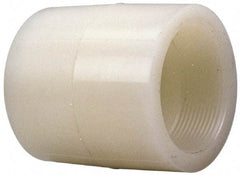NIBCO - 3/4" PVDF Plastic Pipe Adapter Coupling - Schedule 80, S x FIPT End Connections - Exact Industrial Supply