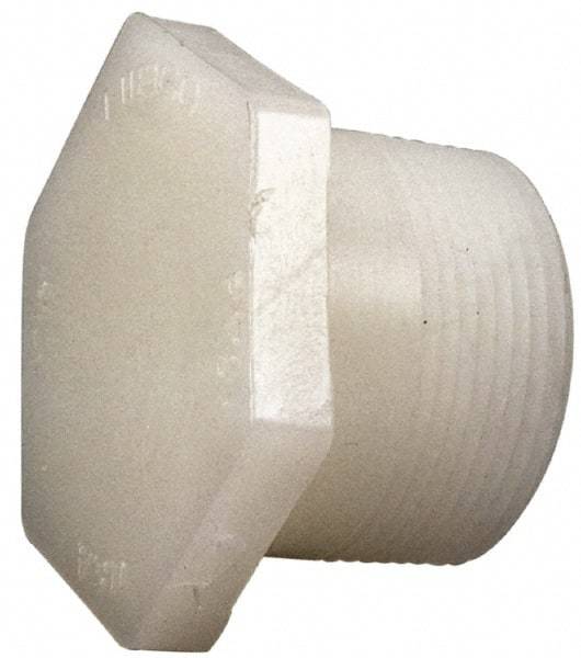 NIBCO - 2" PVDF Plastic Pipe Threaded Plug - Schedule 80, MIPT End Connections - Exact Industrial Supply