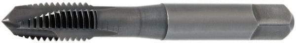 OSG - #6-40 UNC, 2 Flute, Oxide Finish, Vanadium High Speed Steel Spiral Point Tap - Plug Chamfer, Right Hand Thread, 2" OAL, 11/16" Thread Length, 0.141" Shank Diam, 2B Class of Fit, Series 300 - Exact Industrial Supply