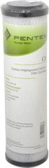 Pentair - 2-5/8" OD, 1µ, Carbon Impregnated Cellulose Pleated-Dual Purpose-Powder Activated Cartridge Filter - 9-3/4" Long, Reduces Tastes, Odors & Sediments - Exact Industrial Supply