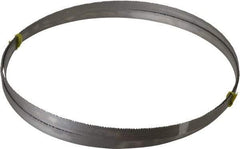 Starrett - 8 to 12 TPI, 11' Long x 3/4" Wide x 0.035" Thick, Welded Band Saw Blade - Bi-Metal, Toothed Edge, Raker Tooth Set, Contour Cutting - Exact Industrial Supply
