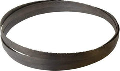 Starrett - 8 to 12 TPI, 14' 6" Long x 3/4" Wide x 0.035" Thick, Welded Band Saw Blade - Bi-Metal, Toothed Edge, Raker Tooth Set, Contour Cutting - Exact Industrial Supply