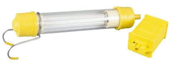 Conductix - 13 Watt, Electric, Fluorescent Portable Handheld Work Light - 1 Head - Exact Industrial Supply